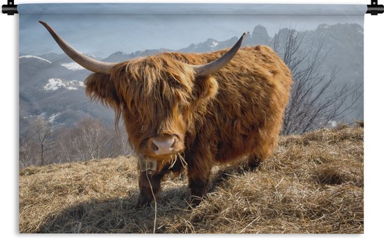 Wandkleed Schotse Hooglanders  - Schotse hooglander met wollige vacht Wandkleed katoen 180x120 cm - Wandtapijt met foto XXL / Groot formaat!