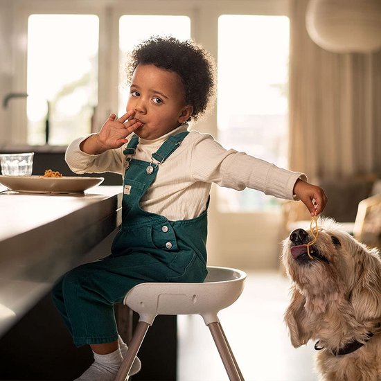 8-in-1 kinderstoel, verstelbare kinderstoel, kinderstoel die meegroeit met het kind, kinderstoel met tafel, vanaf ca. 6 maanden tot 5 jaar, 0-22 kg, Beyond Graphite (grijs) van Hauck — afbeelding 2
