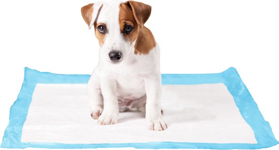 Duvoplus - Dierentoilet - Hond - P-pad X-large Xl - 50st - 60x60cm - 50st