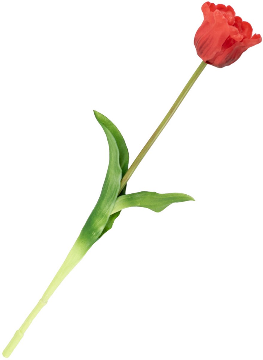 HomeBound by KY | Kunsttulp open real touch rood | kunstbloem