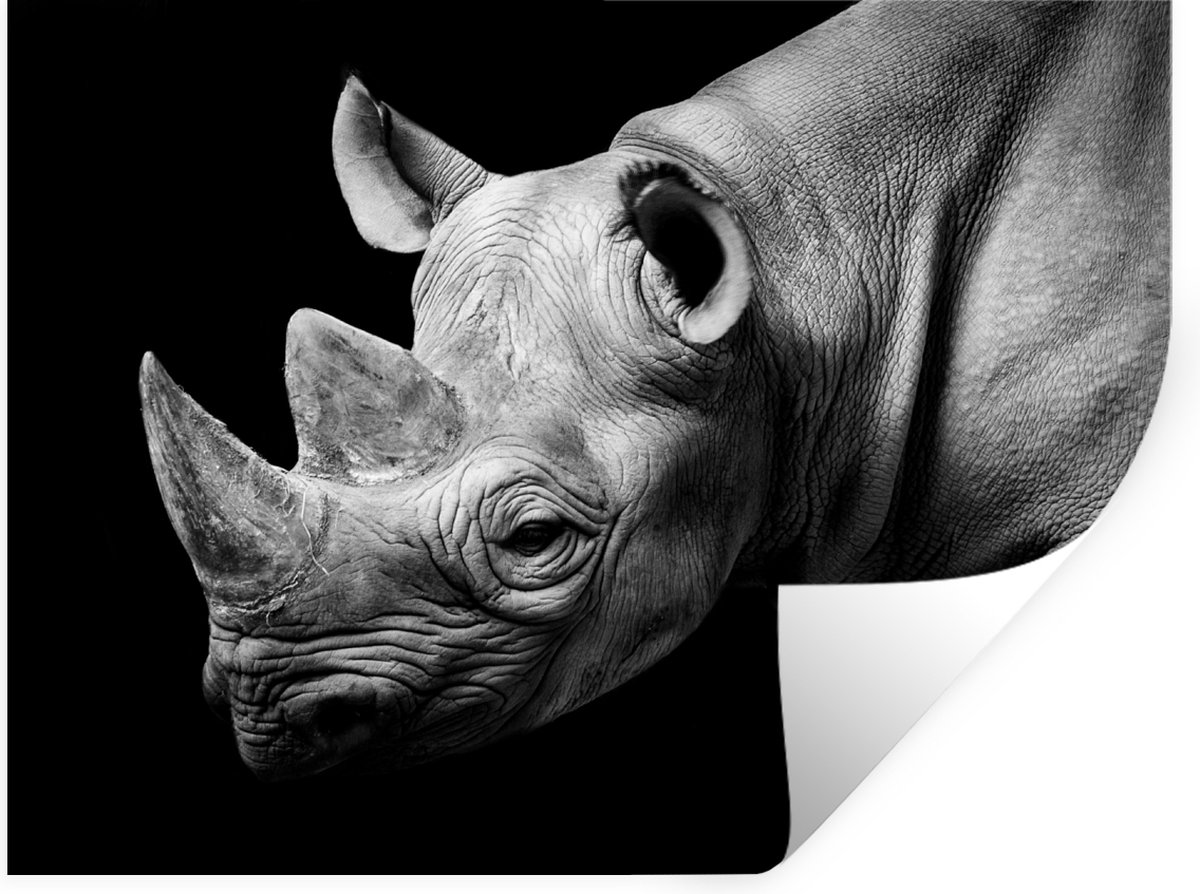 Muurstickers - Sticker Folie - Dieren - Neushoorn - Zwart - Wit - Portret - 40x30 cm - Pla