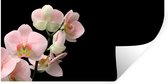 Muurstickers - Sticker Folie - Orchidee - Bloemen - Roze - Stilleven - Flora - 40x20 cm - Plakfolie - Muurstickers Kinderkamer - Zelfklevend Behang - Zelfklevend behangpapier - Stickerfolie