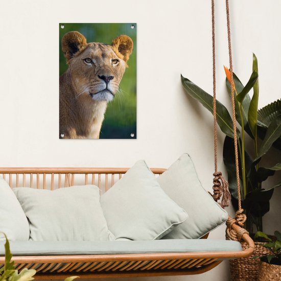 Poster Jardin jeune lionne 40x60 cm - petit - Toile de jardin / Toile d'extérieur / Peintures d'extérieur (décoration de jardin)