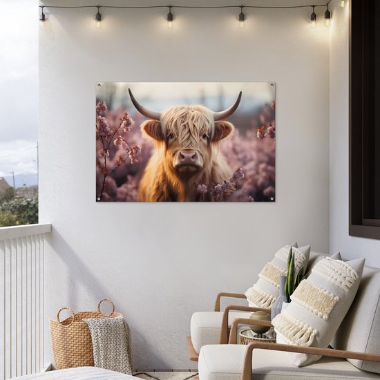 Een bruine Schotse hooglander met lange, golvende vacht staat in een veld met roze bloesems. De poster hangt aan een witte muur op een balkon.