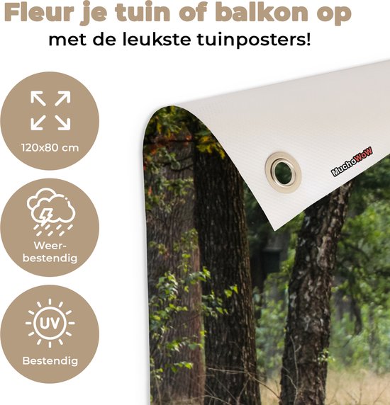 Affiche de jardin Forêt - Cerf - Arbres - 120x80 cm - Jardin