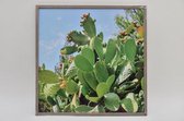 Zomer - Buiten Canvas Cactus In Frame 58x58cm