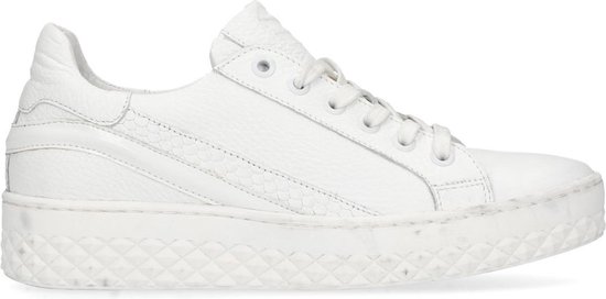 wedge sneakers sacha