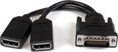 StarTech.com DisplayPort kabels 20 cm LFH 59 mannelijke naar dubbele vrouwelijke DisplayPort DMS 59 kabel