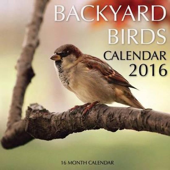 Backyard Birds Calendar 2016, Jack Smith 9781515245636 Boeken