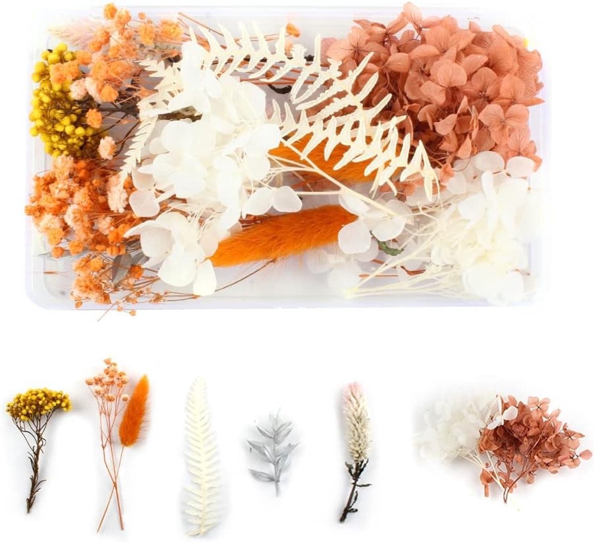 Decoratieve Gedroogde Bloemen voor Hars, Kaarsen en Epoxy - Perfect voor Ambachten, Scrapbooking en Bloemstukken