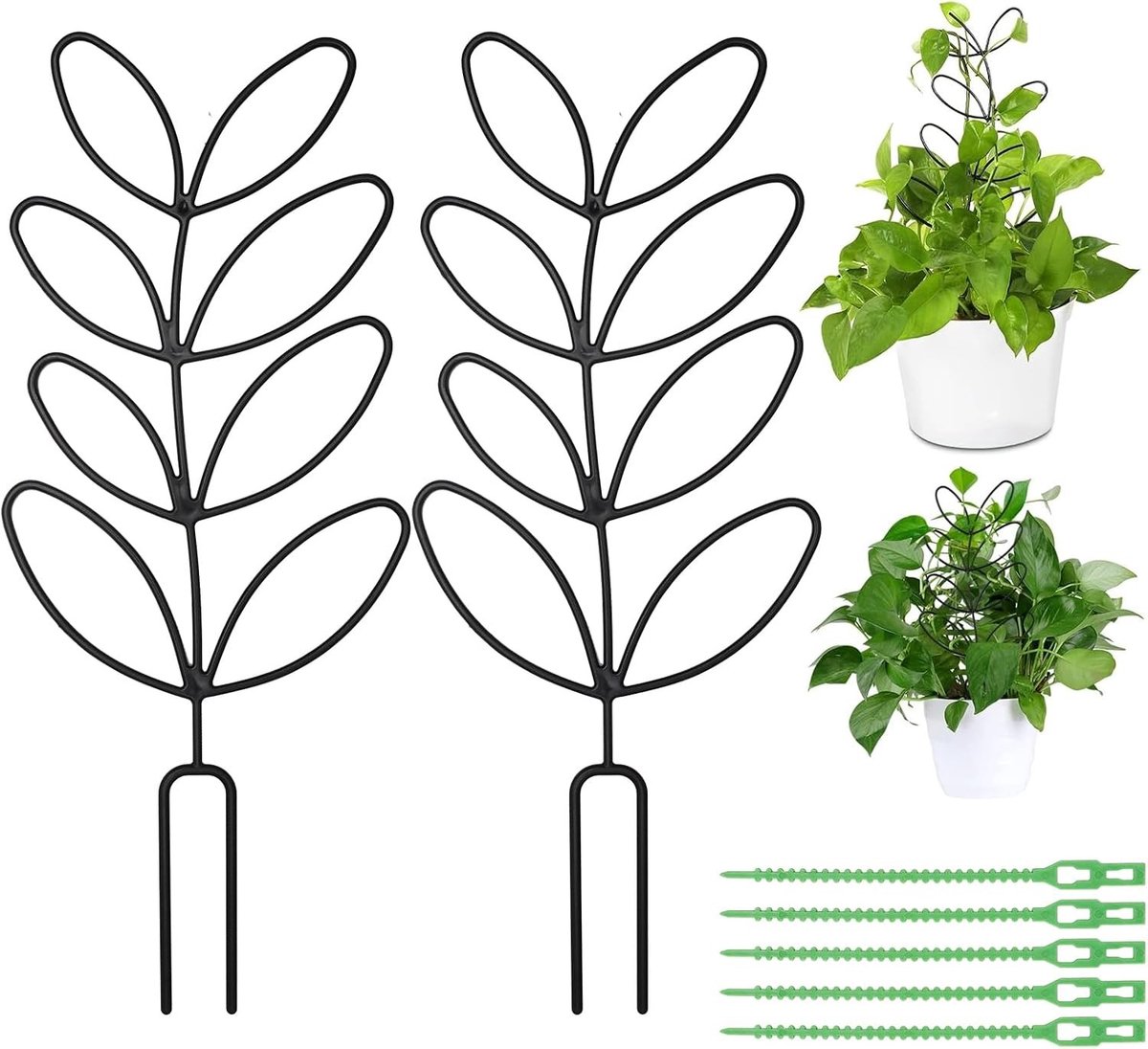 Set van 2 Klimsteunen voor Kamerplanten met Bladontwerp en 5 Tuinbindbanden - Ideaal voor Klimplanten en Balkonplanten