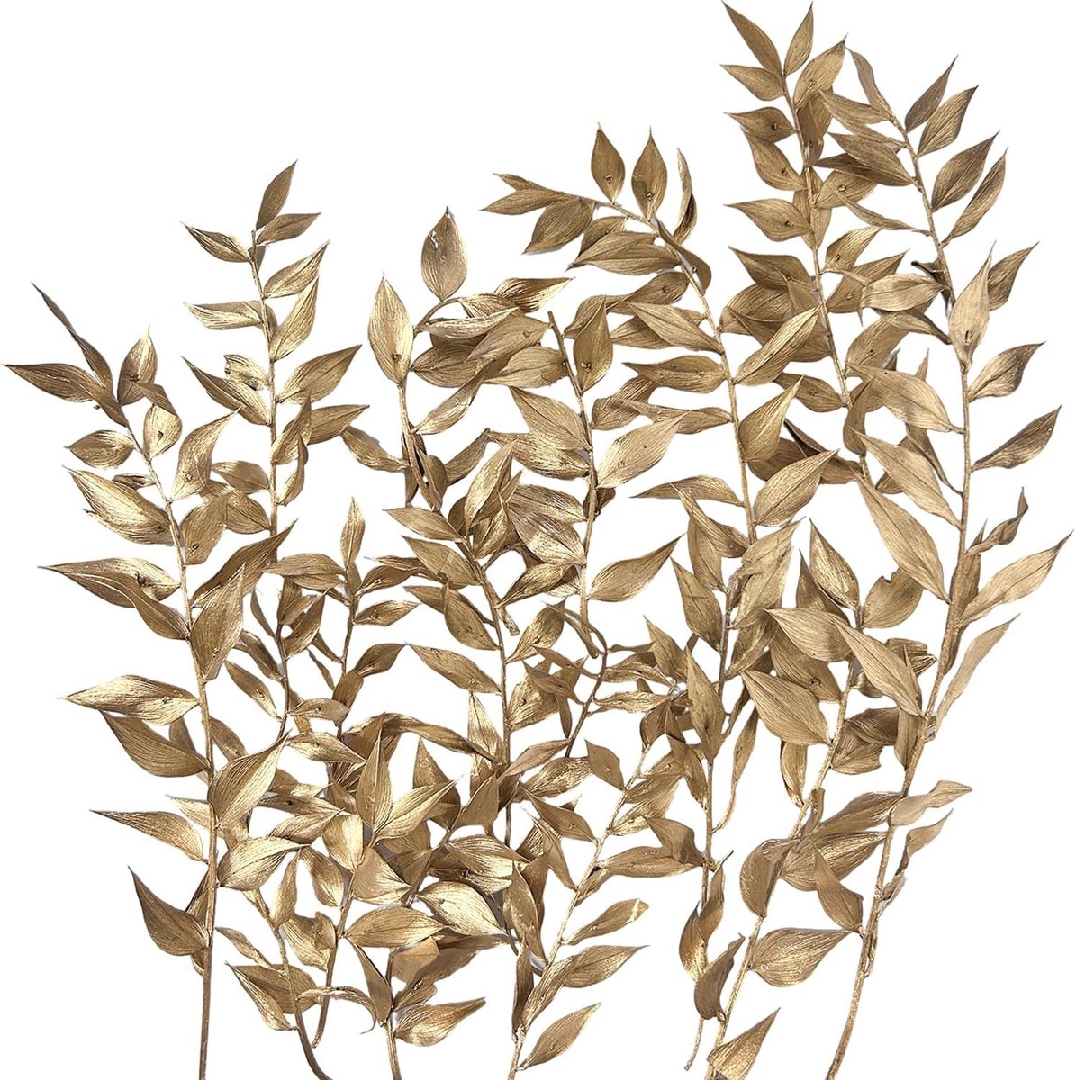 Gedroogde Bloemen en Ruscus voor DIY Projecten, Kunst, Resin, Scrapbooking en Sieraden Decoratie