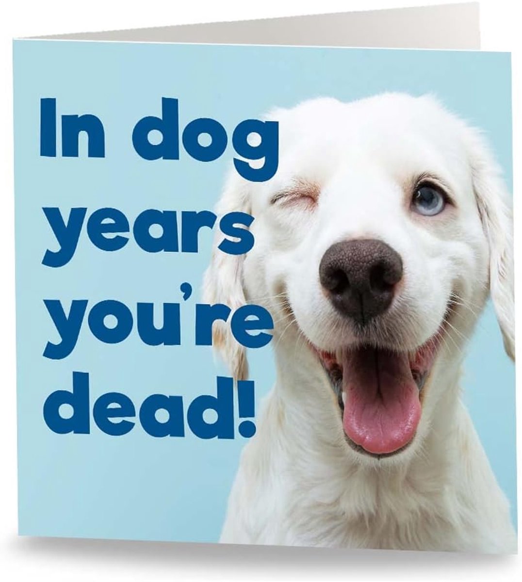 Maturi 'In Dog Years.' Funny Birthday Greeting Card - Blank Inside - ShopVlot