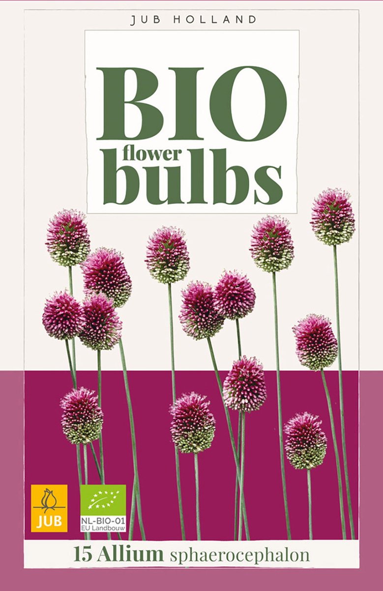 Allium sphaerocephalon bio bloembol JUB 15 stuks