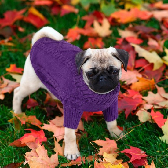 Dachshund Trui Middelgroot Gebreid Hondentruitje Ronde Hals Gebreide Trui Kattentruitje Hondenkleding Outfit Voor Teckel Chihuahua Worsthond Bulldog Yorkie, Paars, M — afbeelding 2