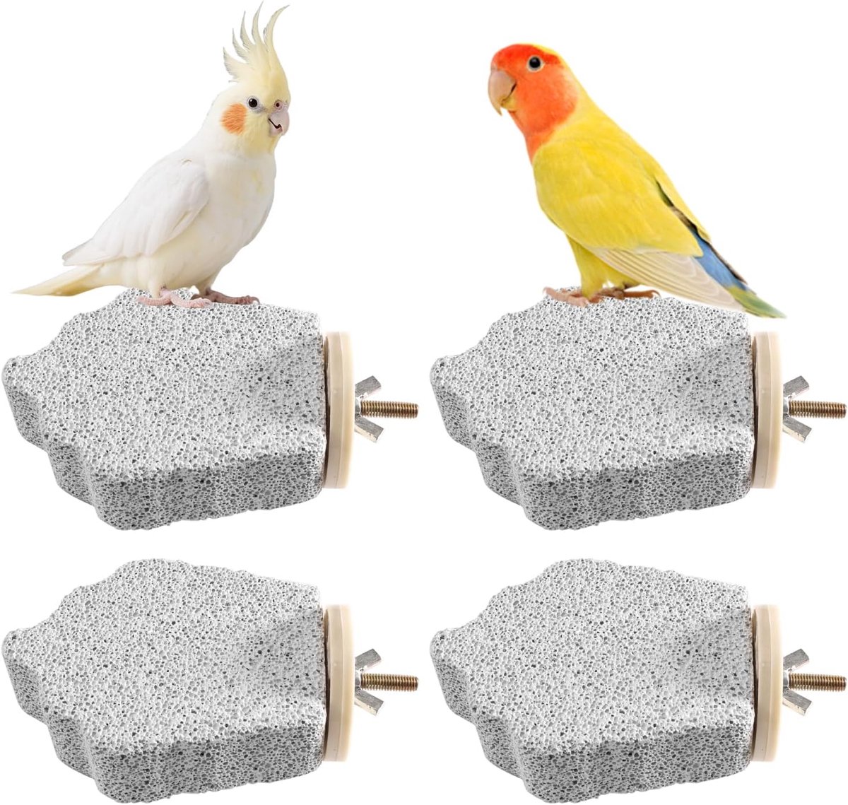 4 stuks slijpsteen papegaai calcium, snap-slijpsteen papegaai, grasparkietspeelgoed, natuurlijke knabbelstang voor - ShopVlot