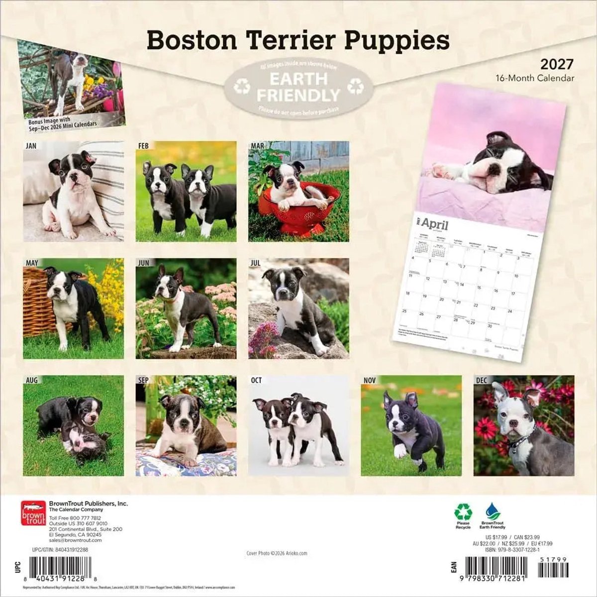 Boston Terrier Puppies Kalender 2027