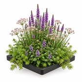Drijvend eiland met paarse bloemen en groene planten, met een witte achtergrond.