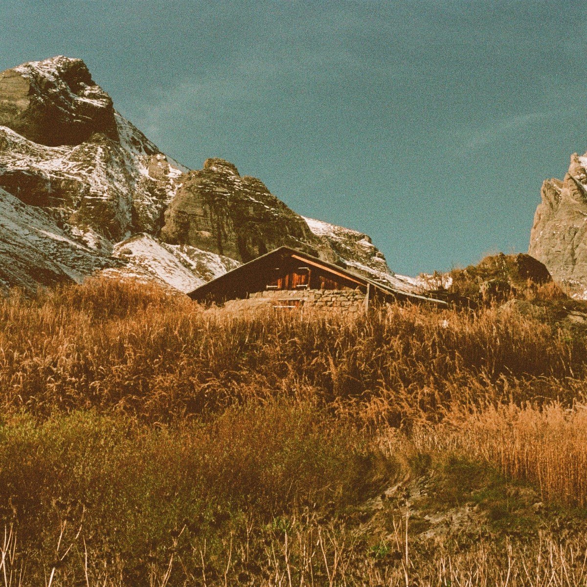 Build and Rest By the Shepherd's Light