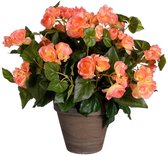 Mica Decorations Begonia Kunstplant in Bloempot Stan - H37 x Ø36 cm - Zalmroze