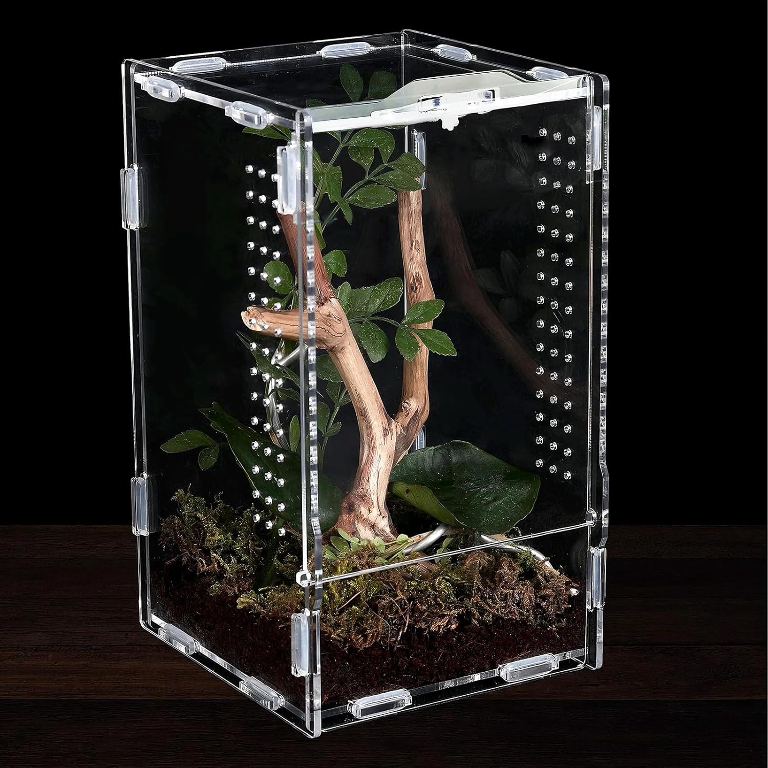 SnelShoppen - Reptielen Terrarium Box met Tweezers - Acryl Terrarium voor Springstaart, Insecten, Slangen en Spinnen - 12x12x20 cm - Ideaal voor Begin