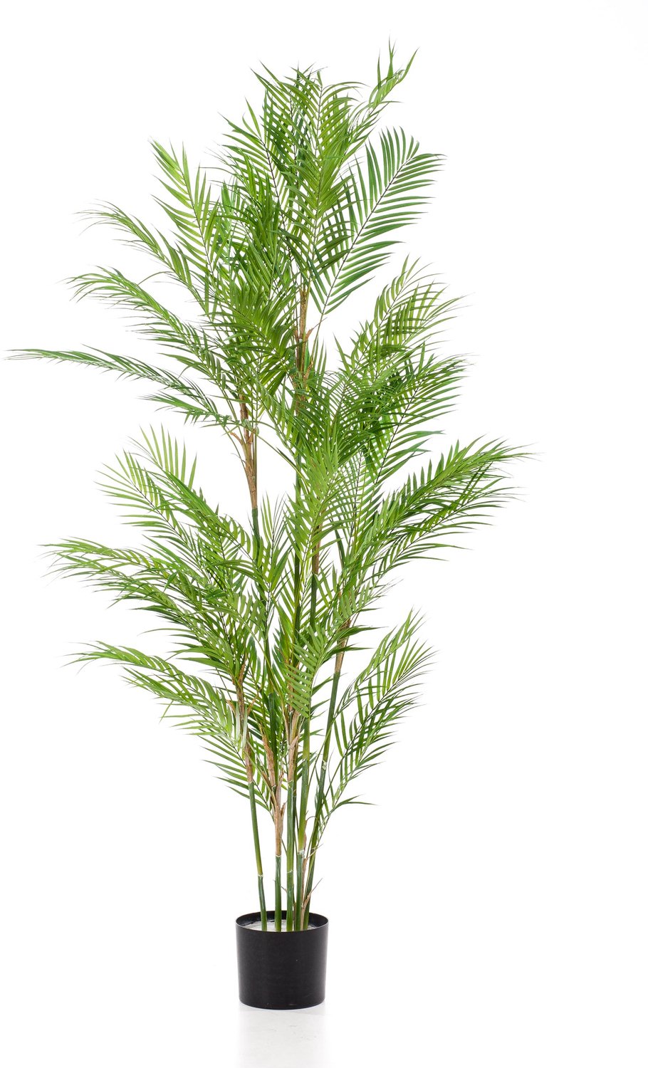 Emerald Kunstplant Chamaedorea Palm 180cm - Kunstplant voor binnen Groen