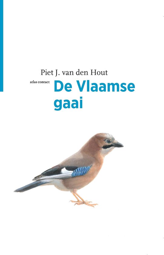 Boekomslag van De Vlaamse gaai door Piet J. van den Hout met een illustratie van een gaai met blauwe vleugelstrepen.