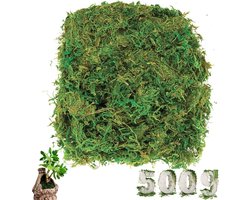 500g Kunstmos Decoratie Groen Kunstplanten voor Bloemschikken & DIY