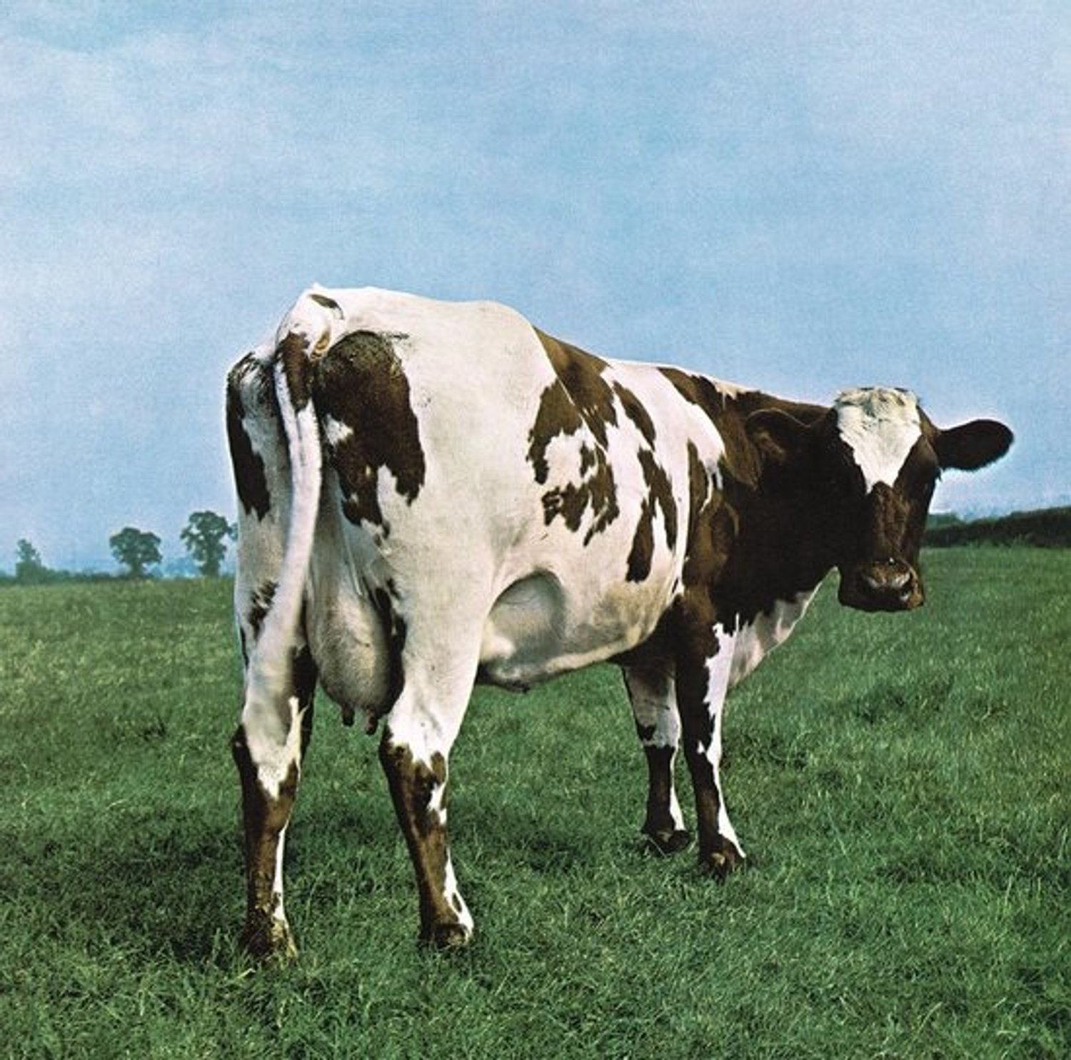 Pink Floyd - Atom Heart Mother Vinyl Album