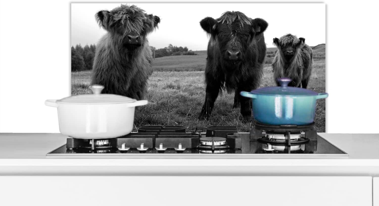 Spatscherm Keuken - 80x40 cm - Schotse hooglander - Koeien - Natuur - Groen - Gras