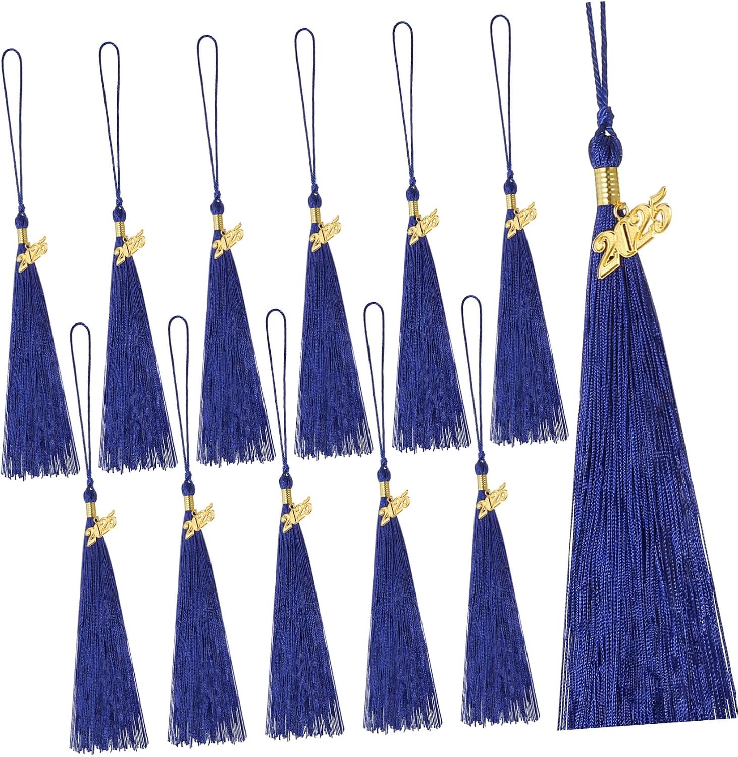 Kwastjes Afstudeerhoeddecoraties Jaarcharme Foto-accessoires