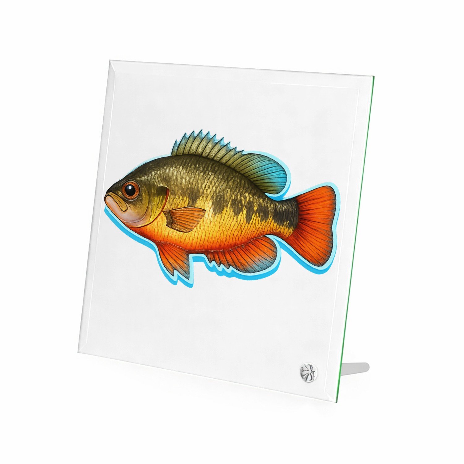 Mr Cadeautjes Glasframe 20 x 20 - design Een realistische papegaai zijaanzicht met tropische kleuracc | cadeau Wit