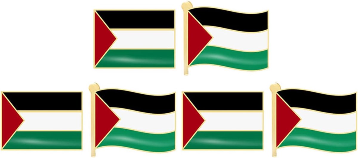 6 stuks Palestijnse Vlag Pin Broche met Palestina Sieraden Palestijnse pin een Armatuur Schakelnaald Pin Rugzakken Pen Vierkante Accessoires Banner Man Badge Legering, 2.50X2.00X1.00CM,