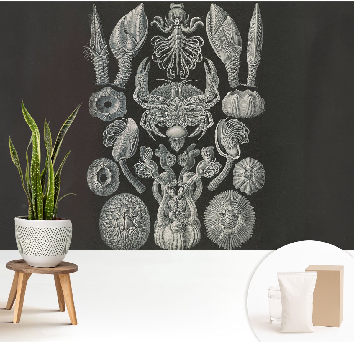 Wallfluent Fotobehang - Zwart Vliesbehang - 208x146 cm - Onderwatervormen Muurschildering - Gang behang Abstractie - Fotobehang Vlies - Gang behang