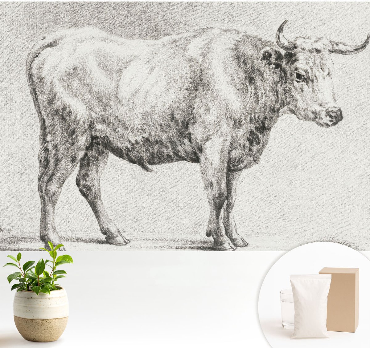 Wallfluent Fotobehang - Grijs Vliesbehang - 104x70 cm - Stierpotlood Fotobehang Vlies - Hal behang Dieren - Muurschildering - Hal behang