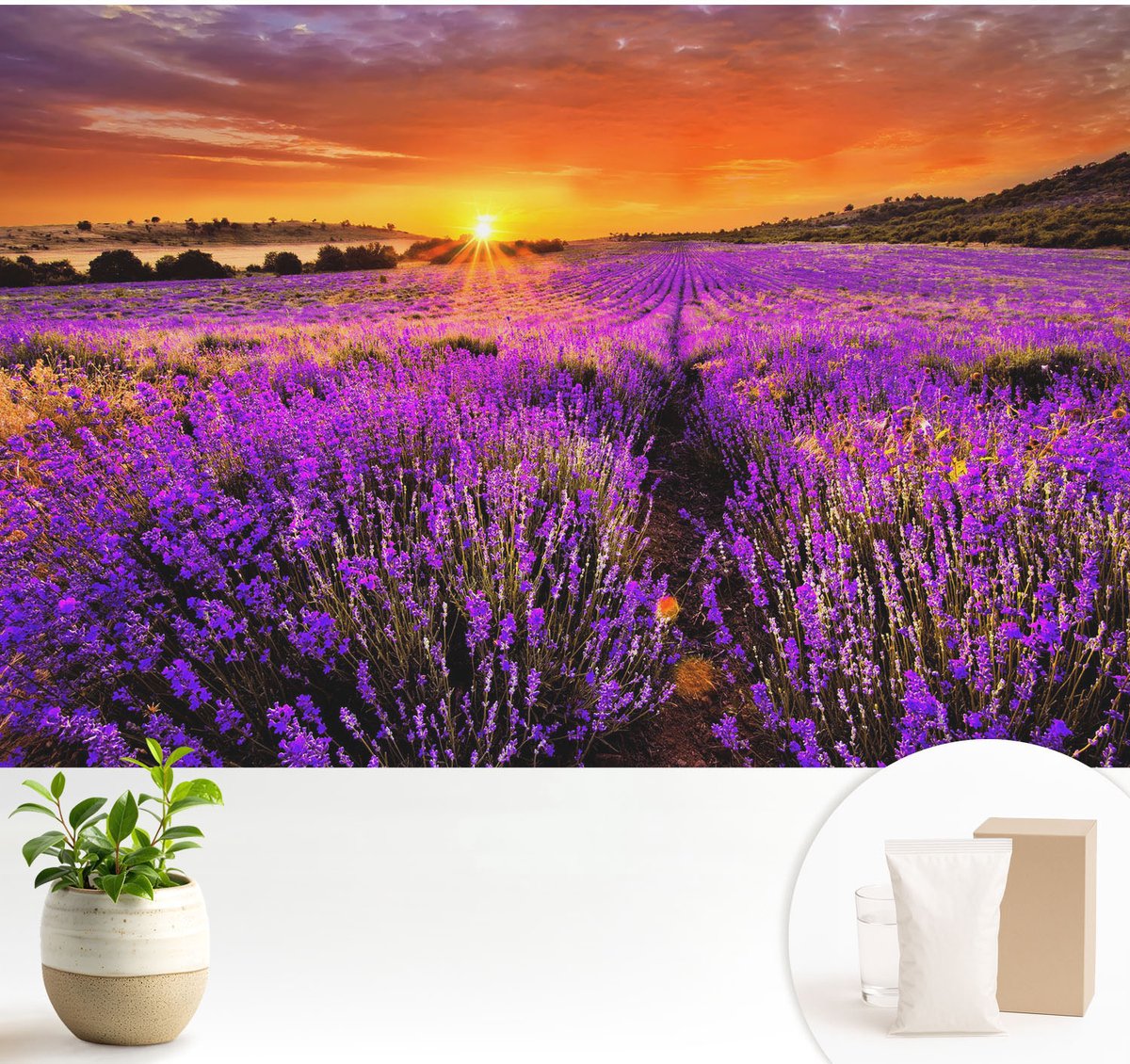 Wallfluent Fotobehang - Paars Vliesbehang - 104x70 cm - Lavendelzonsondergang Fotobehang Vlies - Woonkamer behang Landschappen - Muurschildering - Woonkamer behang
