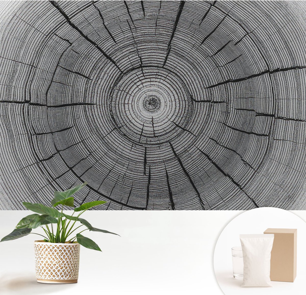 Wallfluent Fotobehang - Zwart-Wit Vliesbehang - 152x104 cm - Bosharmonie Fotobehang Vlies - Woonkamer behang Texturen - Muurschildering - Woonkamer behang