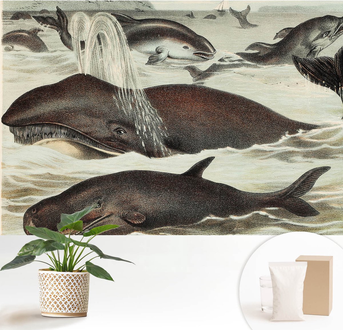Wallfluent Fotobehang - Bruin Vliesbehang - 152x104 cm - Zeedieren Fotobehang Vlies - Hal behang Dieren - Muurschildering - Hal behang