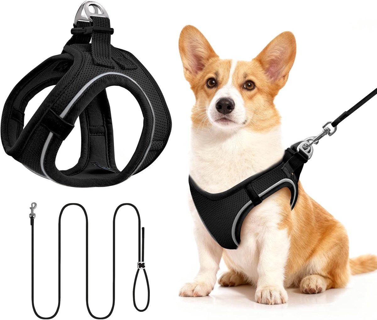 Kattenharnas en riem set voor Katten Kleine Honden(M, zwart)