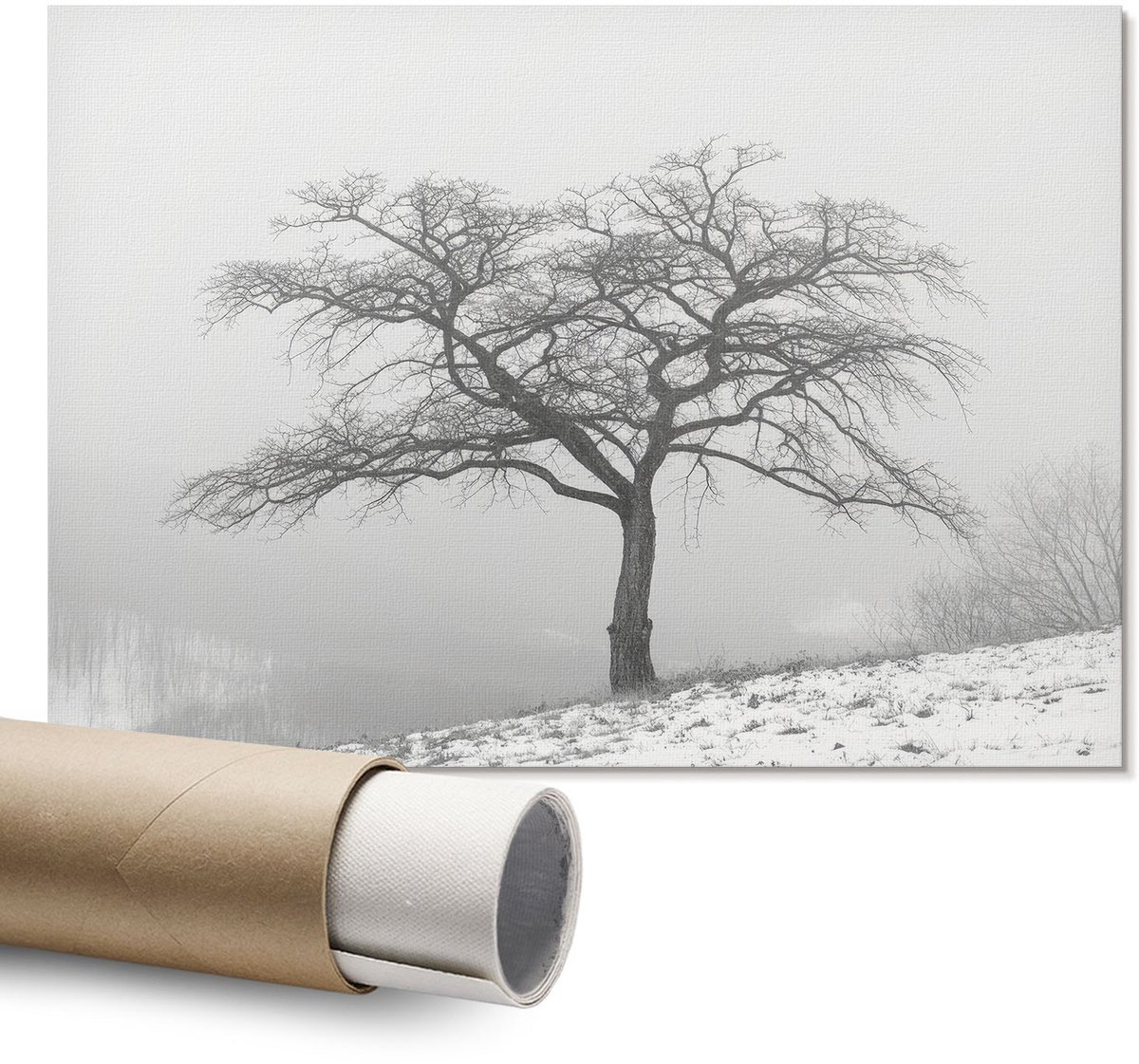 Coloray Polycanvas Wandposter – Winterboom, Grijs – A1 – Zwart-Wit Kunstwerk – Rechthoek – Muurdecoratie – Slaapkamer – Klassiek