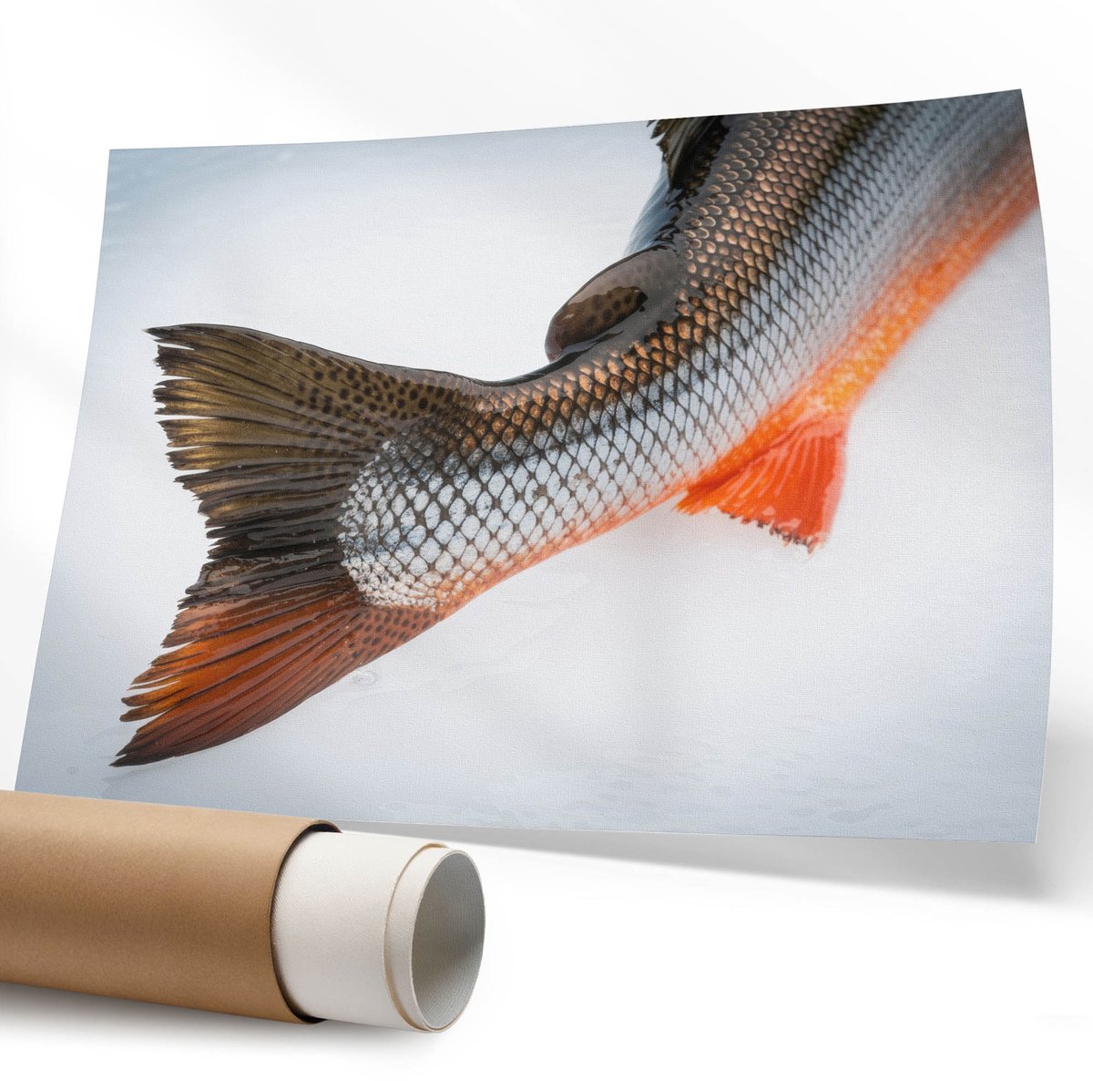 Coloray Polycanvas Poster - Groene Auto, Fotografie - 594 x 840 mm - Groen Wandposter - Rechthoek - Muurdecoratie - Woonkamer - Modern