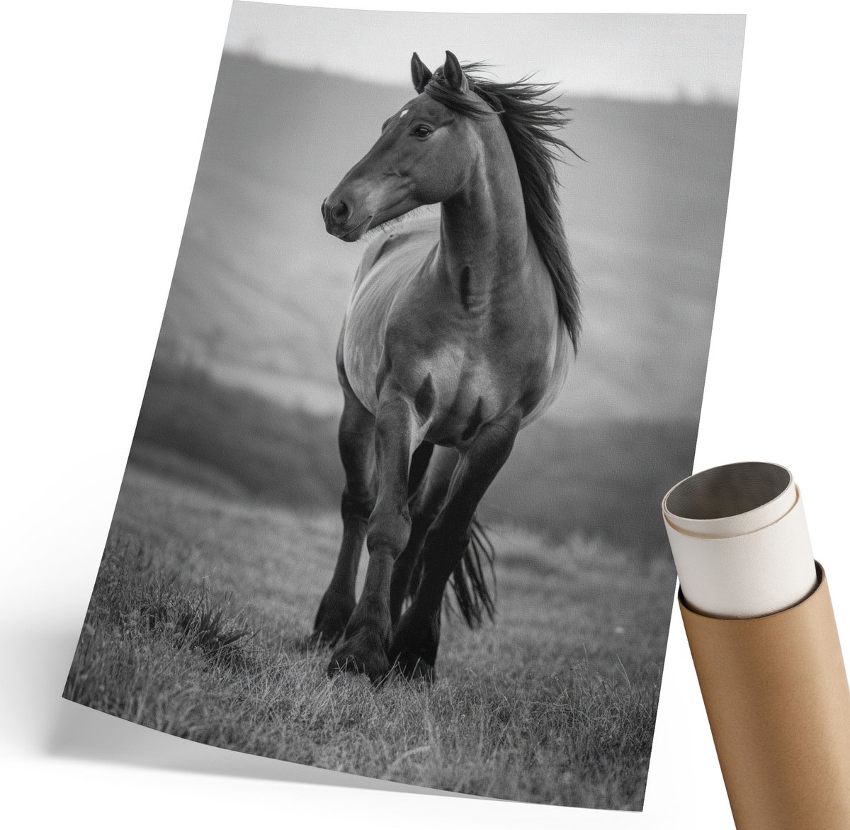 Coloray Polycanvas Wandposter - Sportieve Energie, Fotografie - 420 x 594 mm - Oranje Wanddecoratie - Rechthoek - Canvasposter - Woonkamer, Slaapkamer, Kantoor - Glamour