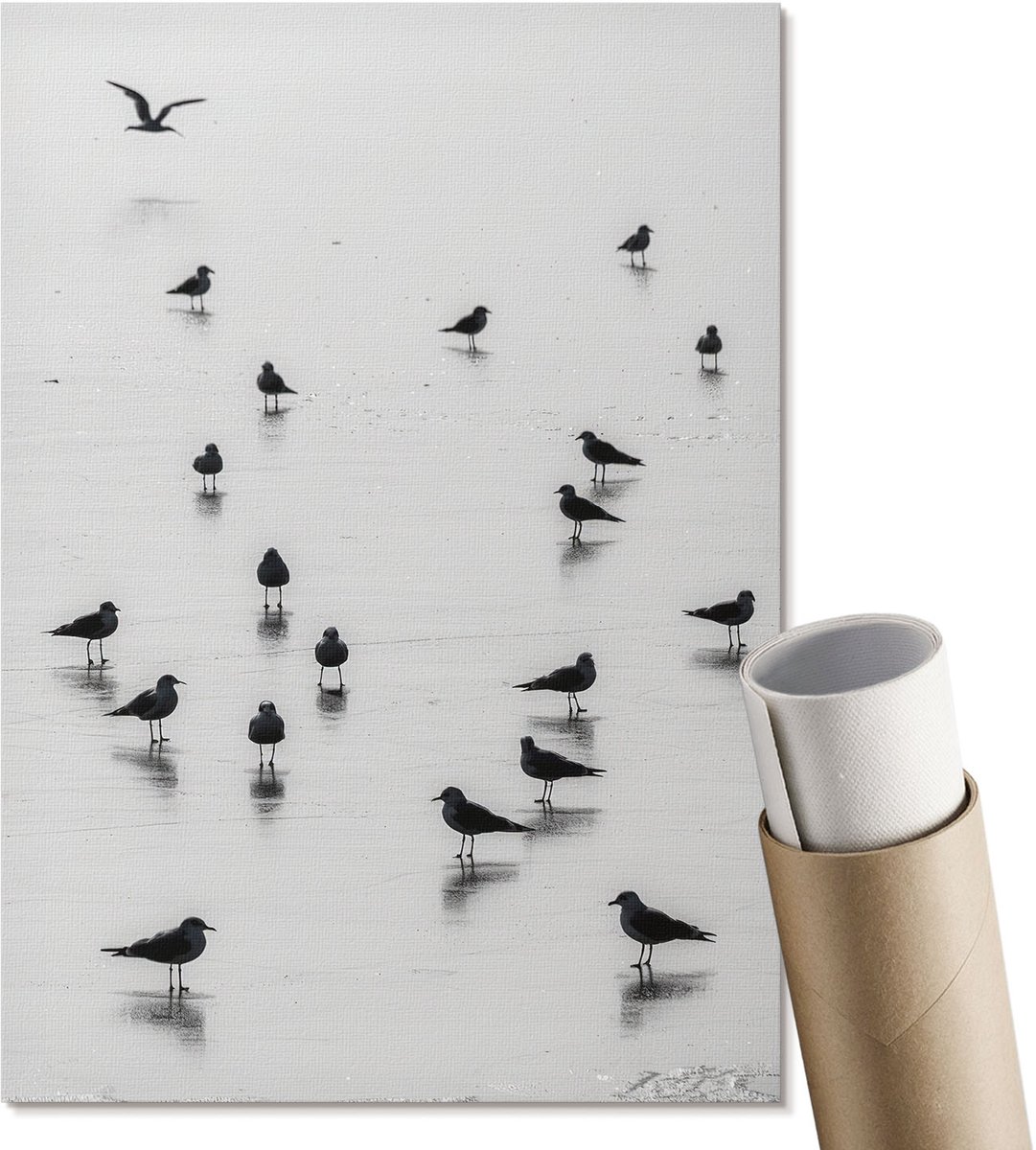 Coloray Canvas Poster Polycanvas - Strandvogels, Fotografie - A4 - Zwart-wit Decoratie - Rechthoek - Kunstposter - Woonkamer, Slaapkamer, Kantoor - Minimalist