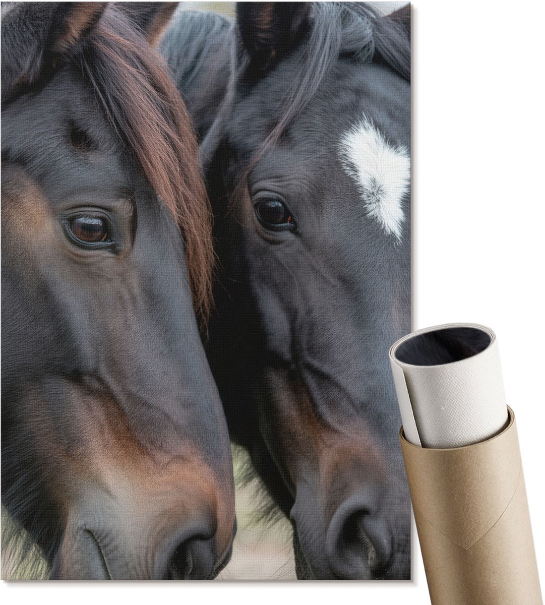 Coloray Polycanvas Wandposter - Twee Paarden, Fotografie - A4 - Zwart Illustratie - Rechthoek - Canvasposter - Woonkamer, Slaapkamer, Kantoor - Klassiek