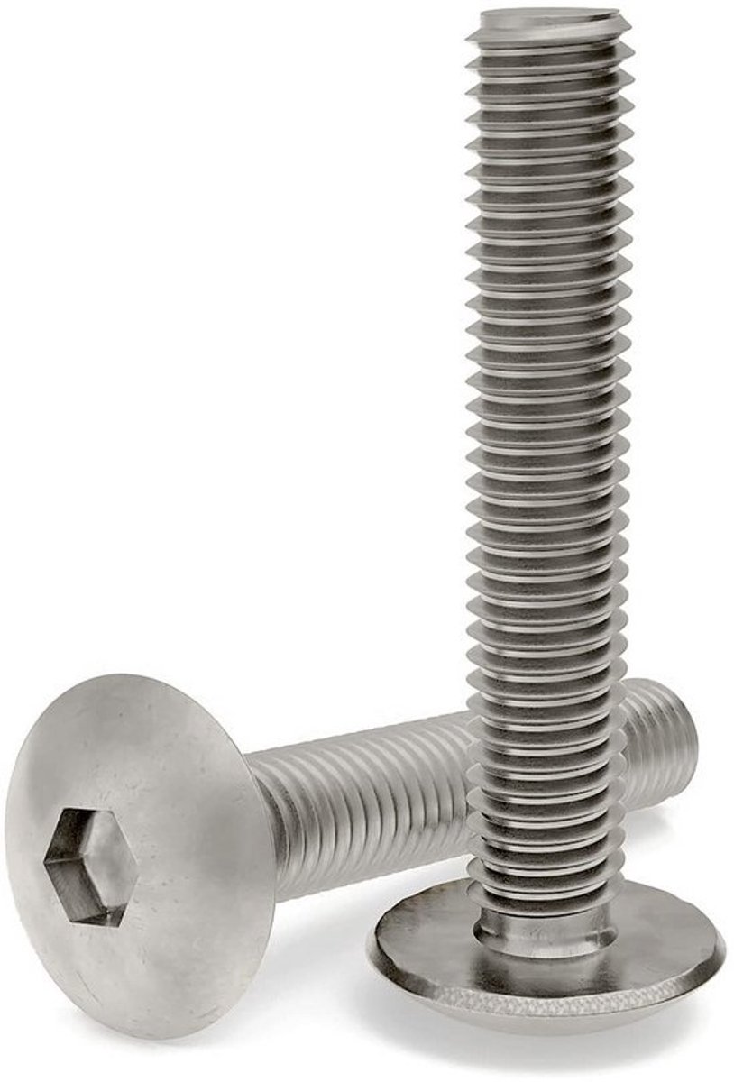 Lenskop Schroeven RVS A2 8x40 mm - 100 Stuks