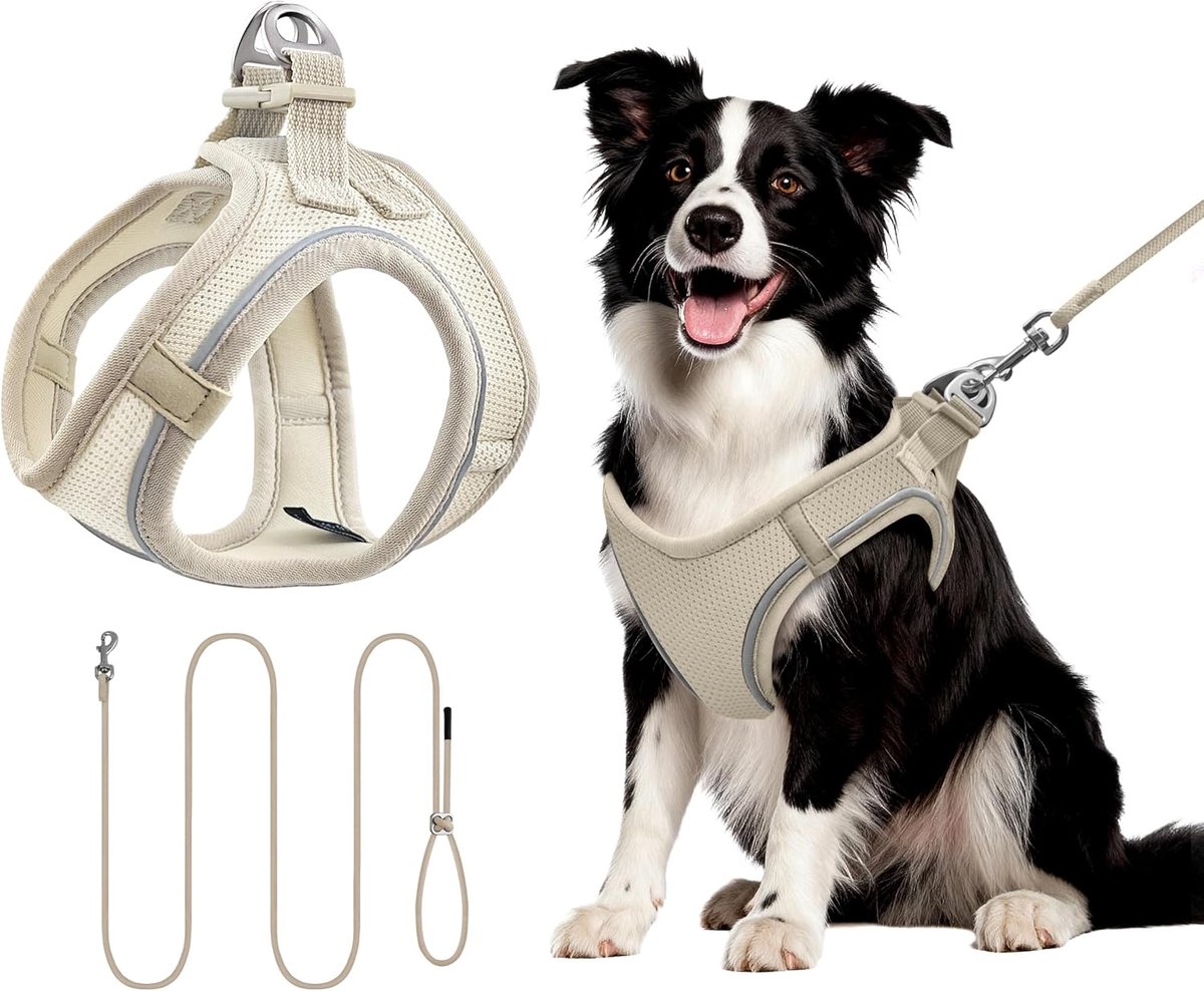 Harnas voor honden met riem(L, beige)