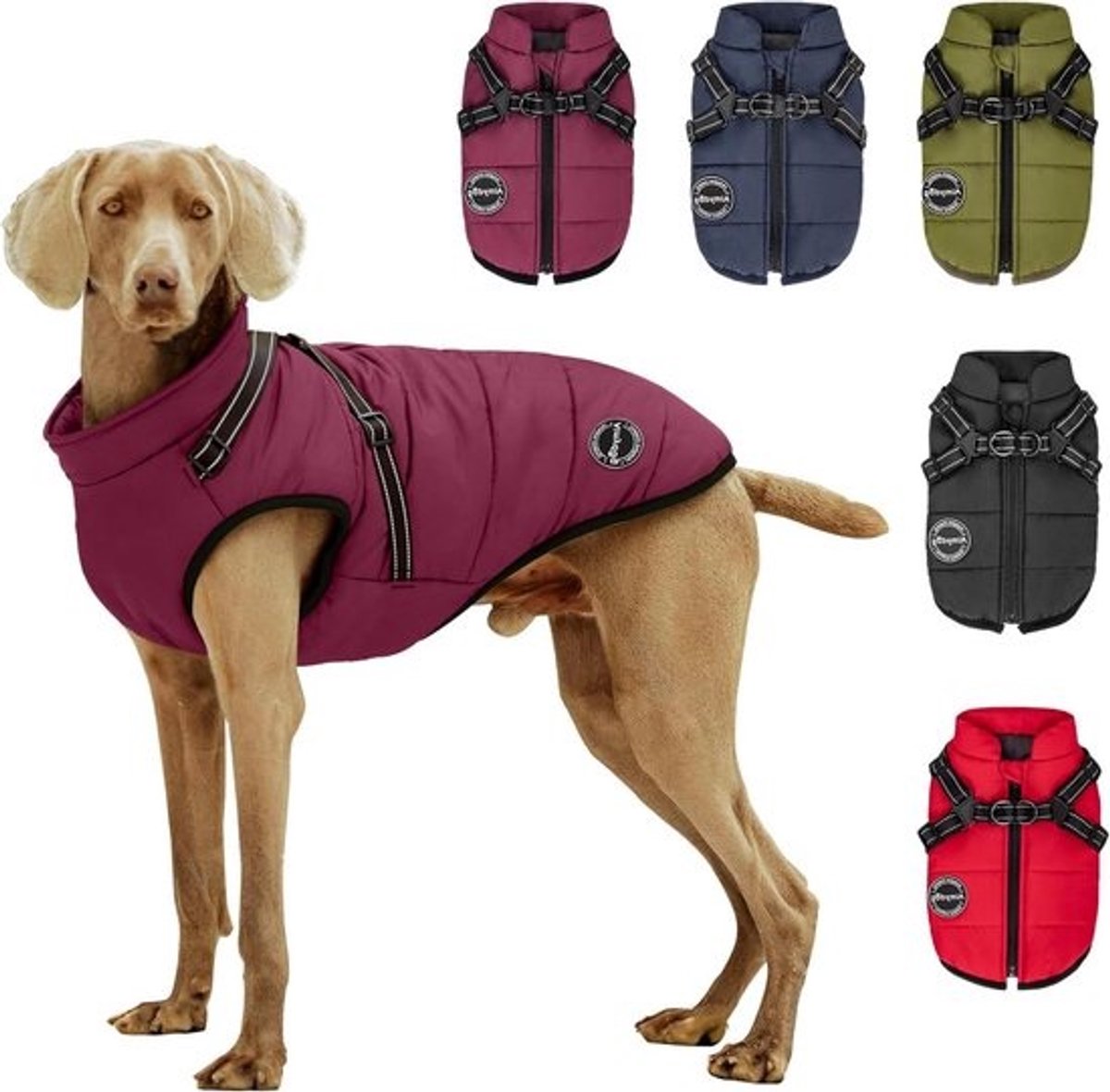Warme Hondenjas - Winterjas Hond - Hond Warm Houden - Ingebouwd Harnas - Maat L - Paars