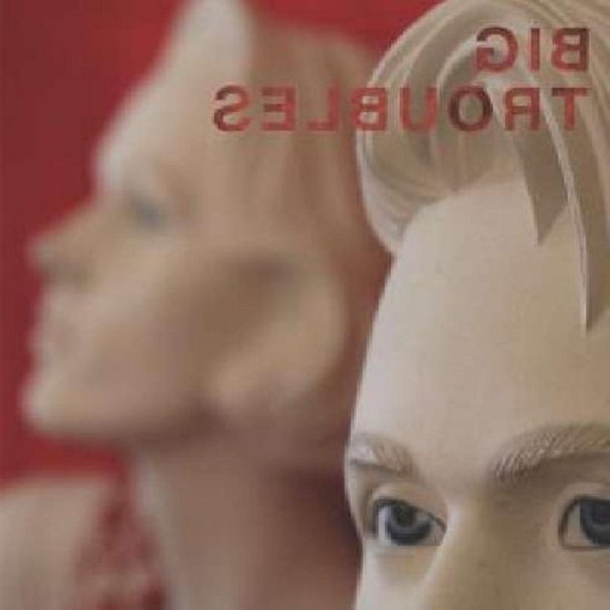Muziek Album - Indie Luisterplaat - Ontspannen Muziek - Nederlandse Persing - 18 cm - Zwart