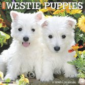 Calendrier des chiots West Highland White Terrier 2020