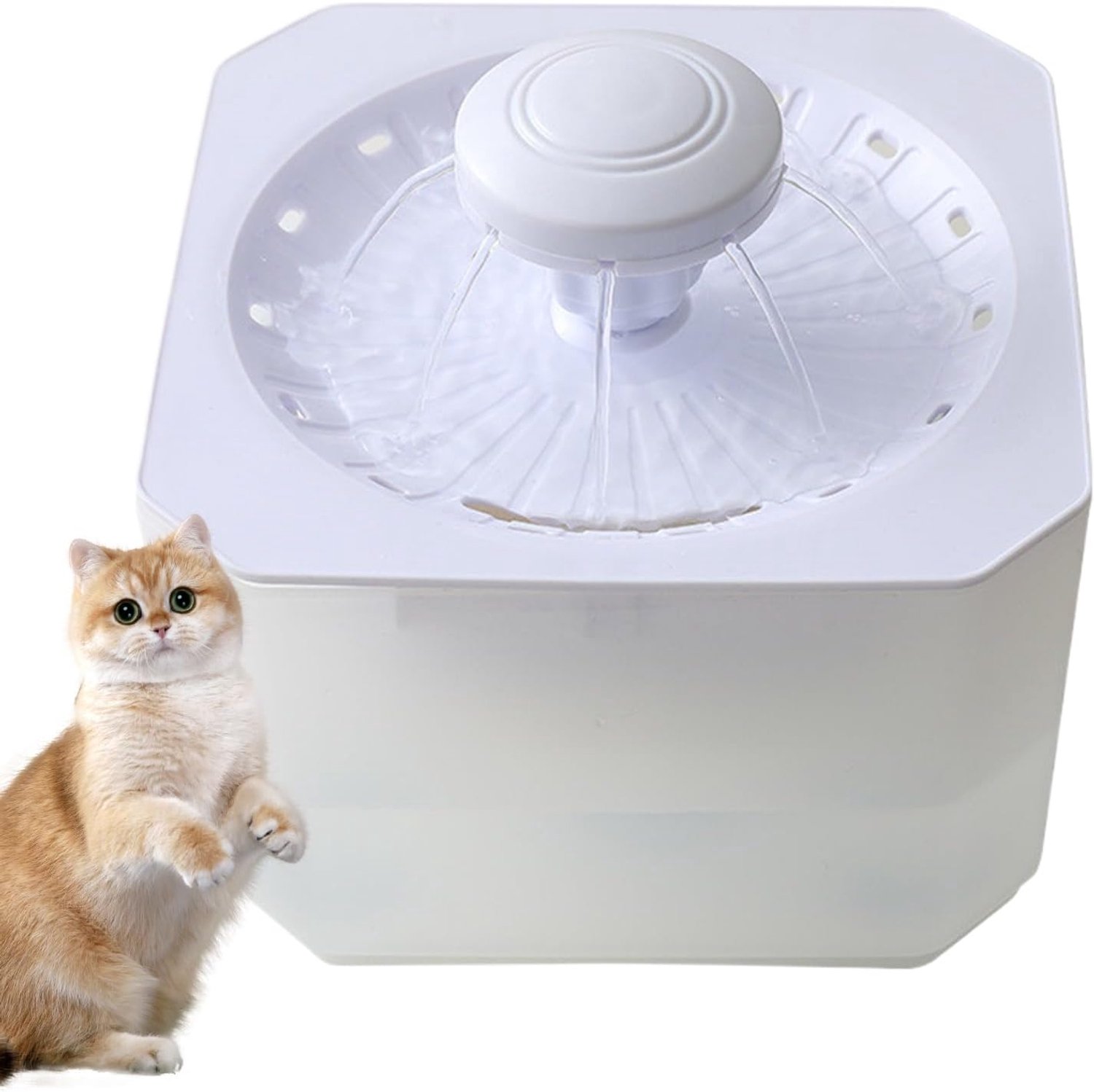 Drinkfontein voor Binnenkatten 2500ml Stille Automatische USB-Oplaadbare
